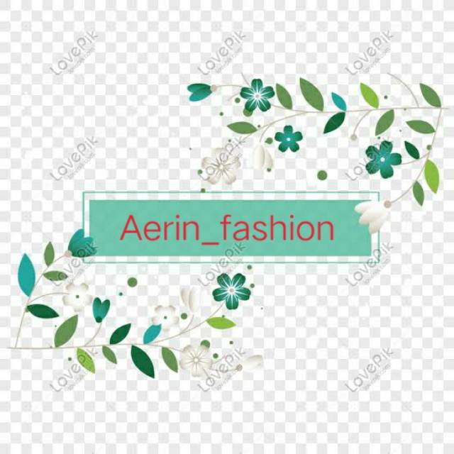 aerin_fashion