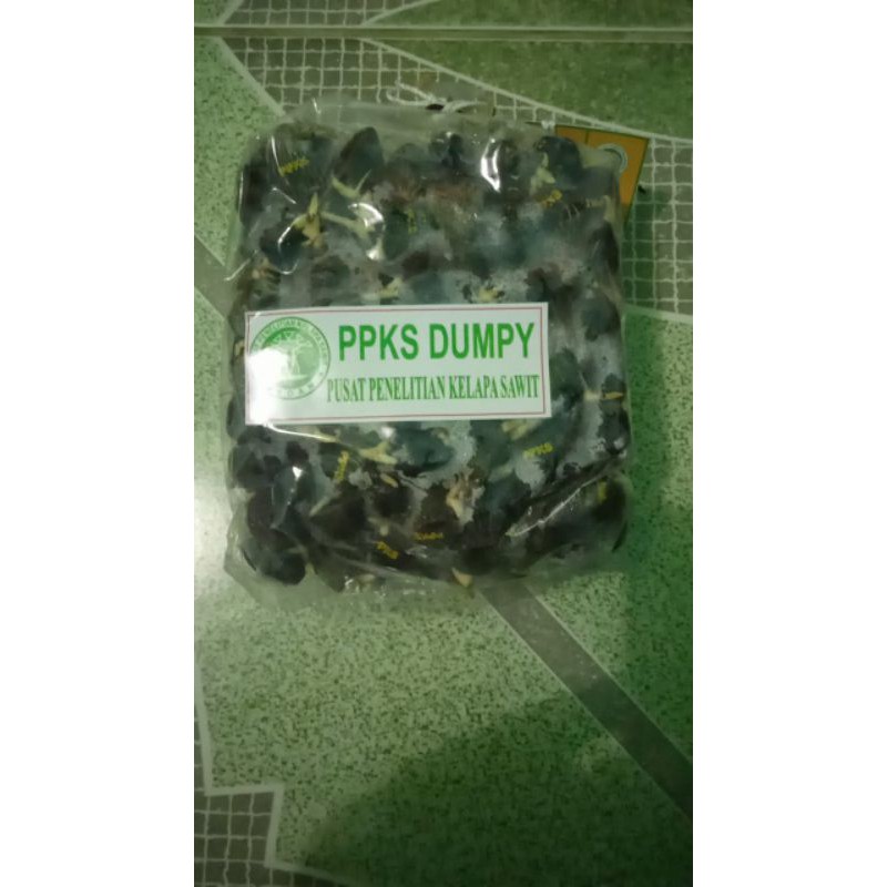 

PPKS Dumpy isi 250 Butir