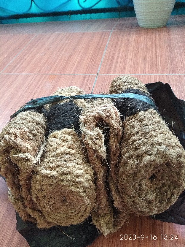 Pot Gantung Untuk Anggrek Bulan, Dendrobium Terbuat Dari Sabut Kelapa