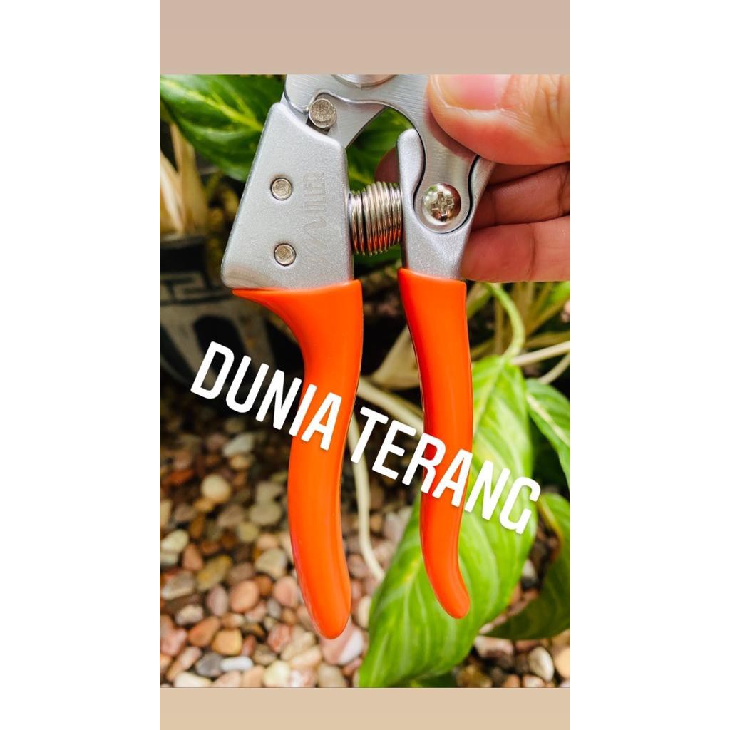 Gunting Stek MULLER Gunting Dahan Ranring Bonsai Prunning Shears - ML-301A