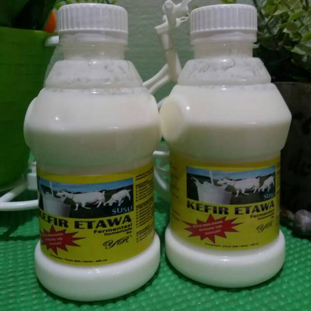 

SUSU KEFIR ETAWA ( DAHSYAT BUAT PENYEMBUHAN )