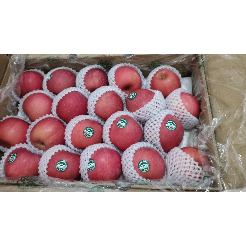 

apel premium wangshan isi berat timbang 13.5kg size 60