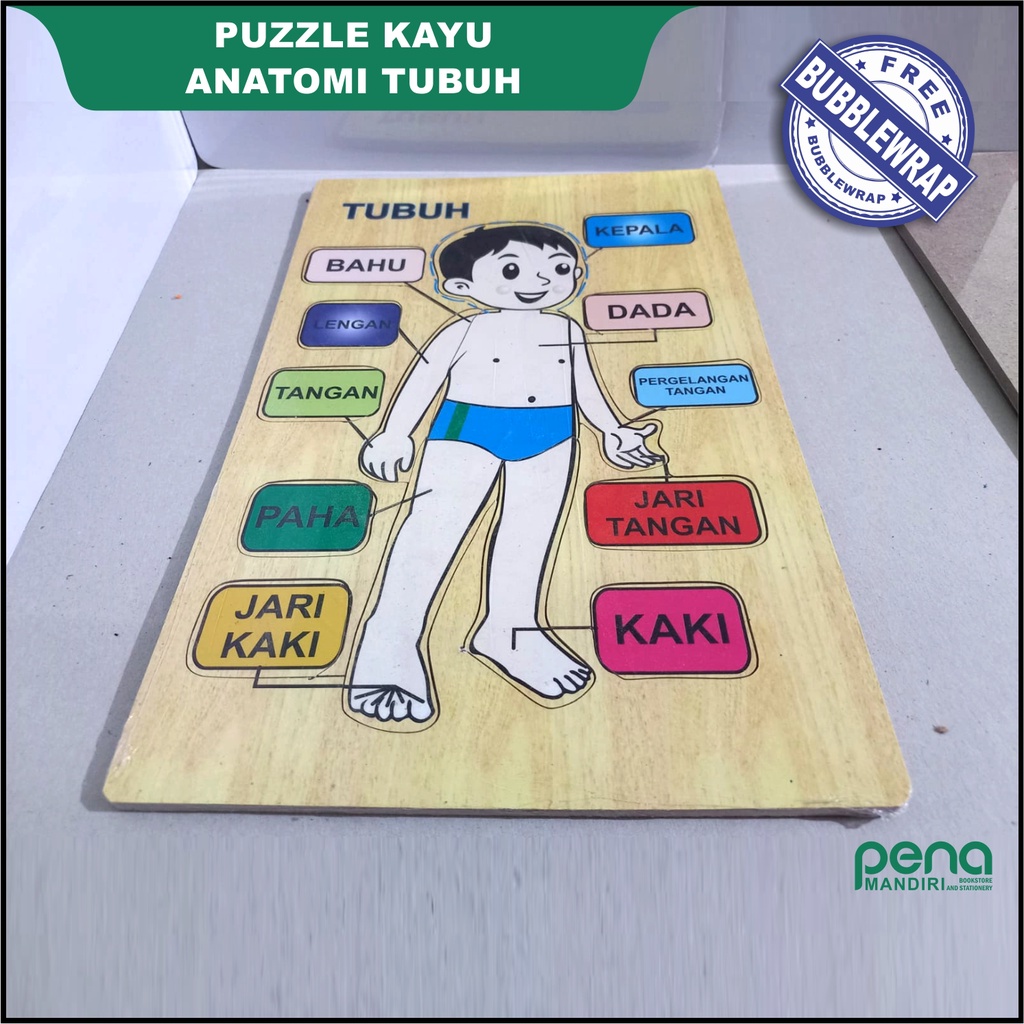 Puzzle Seri Anatomi Tubuh Pria