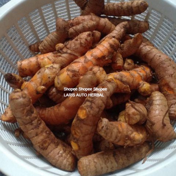 

Fresh Yellow Turmeric 250 gr of spices