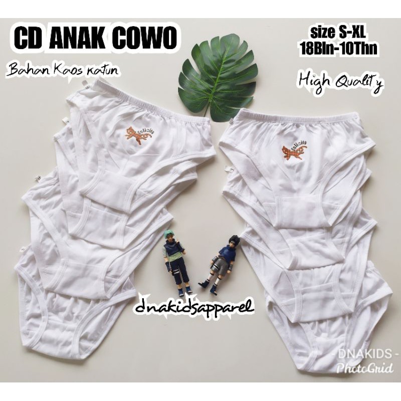 CELANA DALAM ANAK COWO