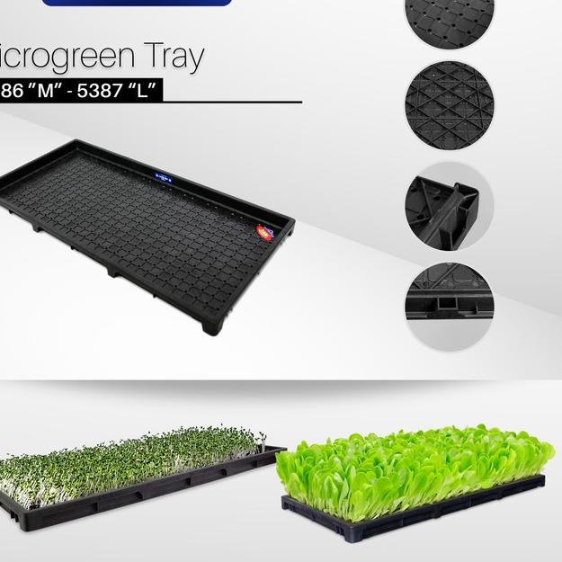 Model baru - Tray semai padi tray semai microgreen wheat grass size L 5387H Tray Semai Microgree Gro