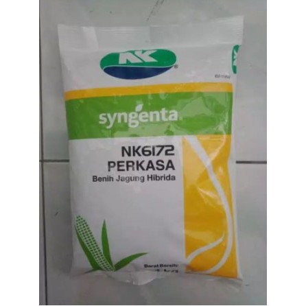 Benih Jagung NK PERKASA 1 kg NK 6172 dari syngenta