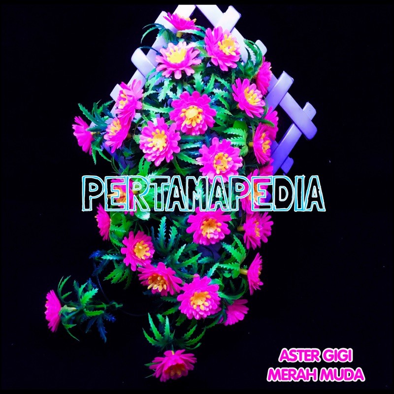 C5 Bunga Aster Gigi/Bunga Plastik/Daun Plastik/Rumput Plastik/Daun Rambat Plastik/Bunga Dekorasi-Merah Muda