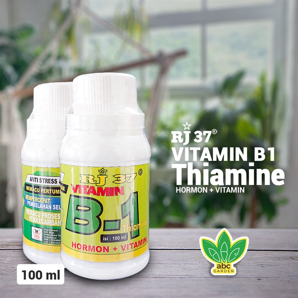 [100ml] Vitamin B1 RJ 37