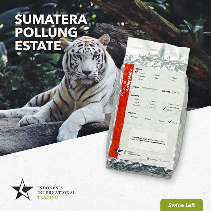 

Arabica Green Beans - Sumatera Pollung Estate Semi Washed 1Kg