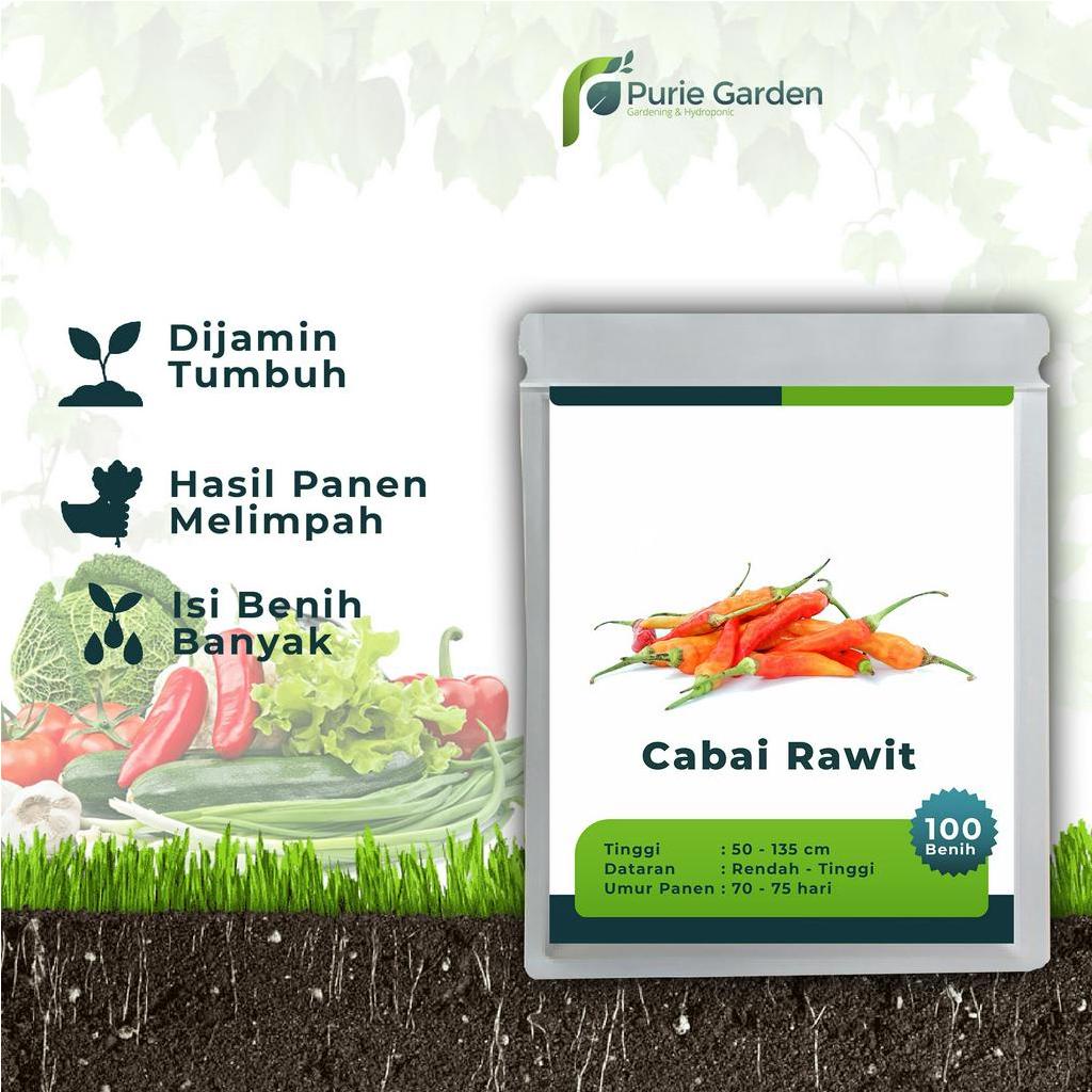 CUCI GUDANG Benih Bibit Biji Unggul Cabe Cabai Rawit 100 Benih PG SBY