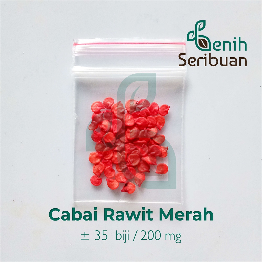 35 Benih Cabe Rawit Merah Cabai Sigantung Unggul Berkualitas - Bibit Tanaman Sayur Sayuran Seribuan-3