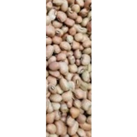 

kacang Tolo putih/merah 500 gram dan 1 kg
