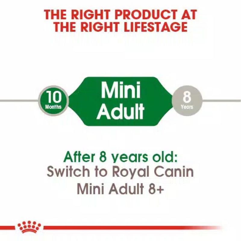 Royal Canin Mini Adult 2Kg Dog Food Makanan Anjing Pom Shihtzu Yorkshire Maltese Chihuahua Dewasa