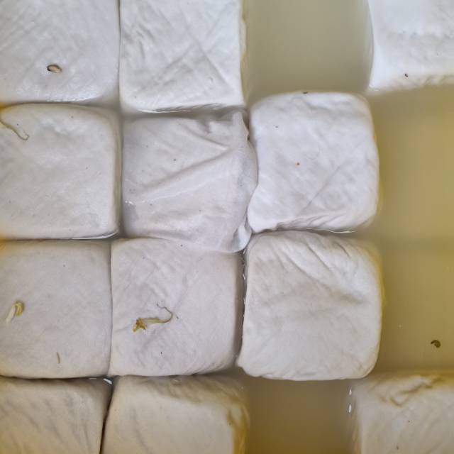 

Tahu putih biasa
