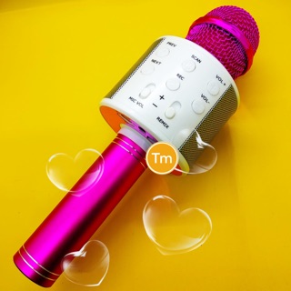 MIC WS-858 WIRELESS BLUETOOTH MICROPHONE/SPEAKER | Shopee