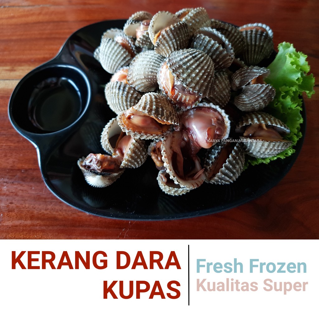 KERANG DARA KUPAS KERANG FRESH FROZEN KERANG SEGAR BEKU KERANG 500 GR