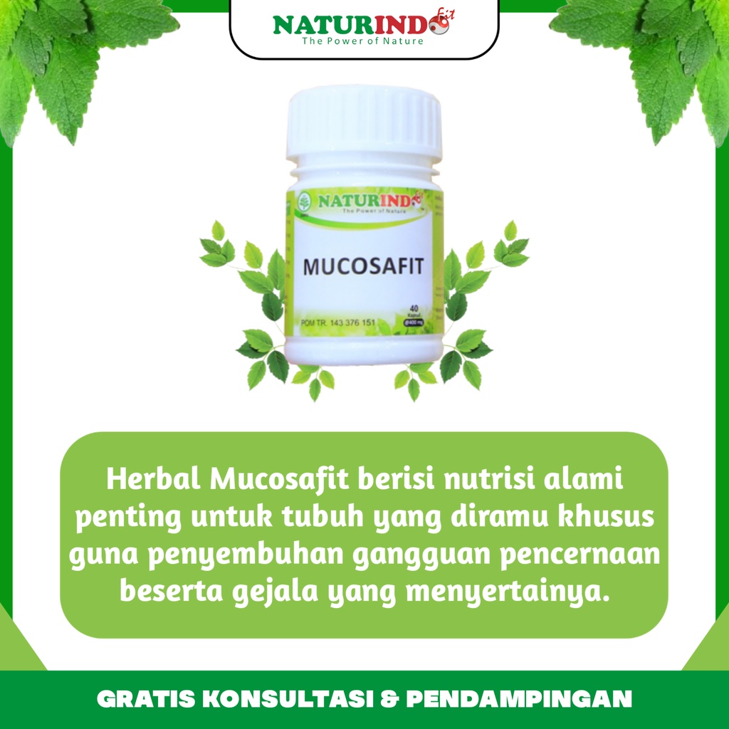 Obat Herbal Asam Lambung Tinggi Maag Magh & Gerd Kronis Gastritis Tukak Lambung Akut Sakit Perut Nyeri Ulu Hati Kembung Gangguan Pencernaan Panas Dalam Mucosafit Naturindo Bpom Herbal Paling Ampuh Halal Tanpa Efek Samping-4