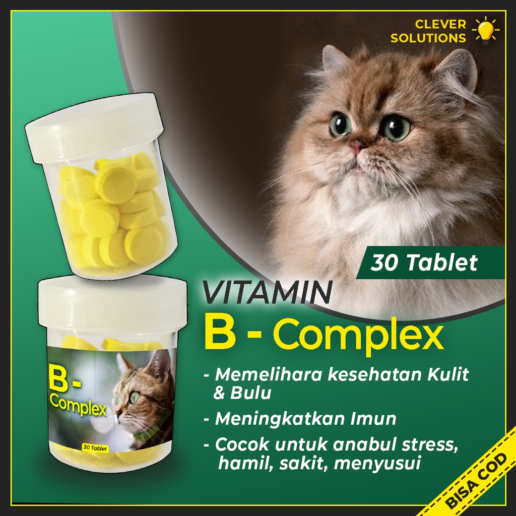 Vitamin Kucing B COMPLEX TABLET untuk Meningkatkan Imun Merawat Bulu Anti Rontok Bulu Kucing by Clever Solutions Olive Care Babah Cat House Penumbuh Bulu Kucing Koinami