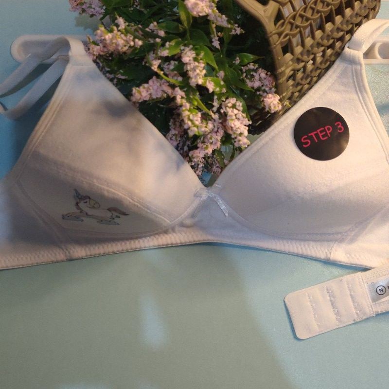 BRA anak step 3 Nevada