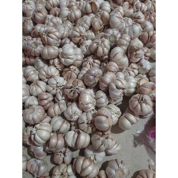 

Bawang putih cinco 500g