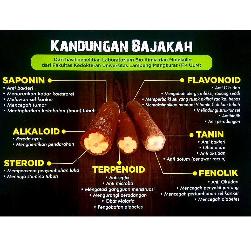 

yb✺Produk Keren✳☋ TEH BAJAKAH ASLI KALIMANTAN | TEH BAJAKAH PREMIUM ASLI KALIMANTAN | TEH BAJAKAH KALIMANTAN ASLI 80 ✺