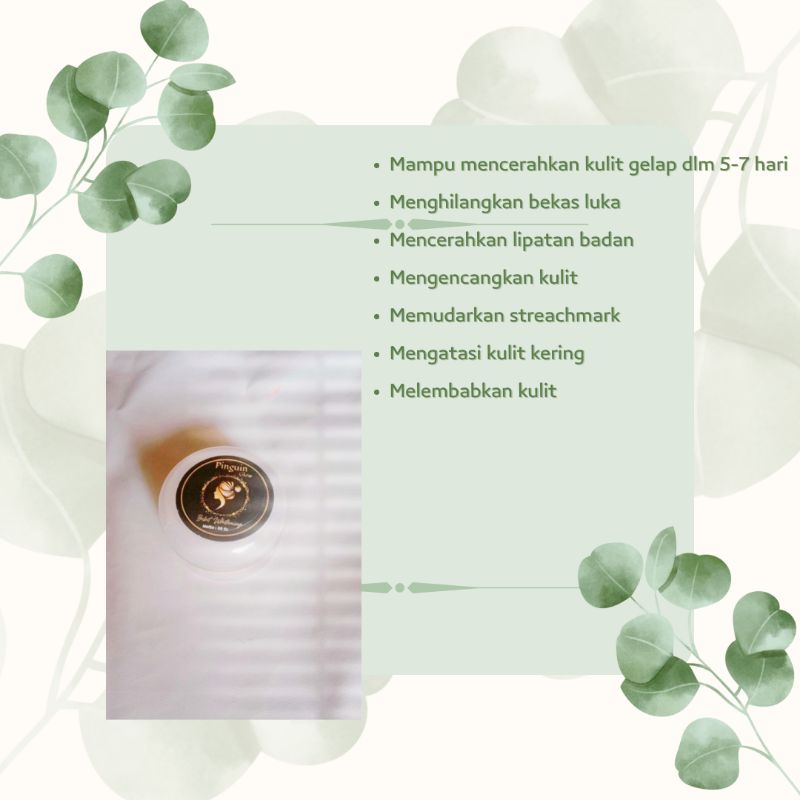 bibit whitening pinguin glow