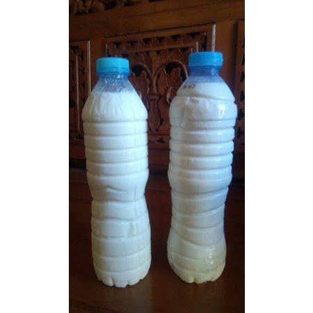 

Susu Kambing PE mentah
