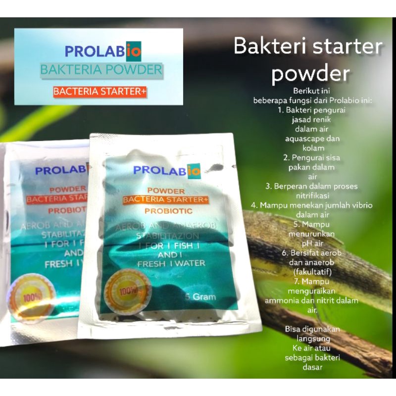 bakteri/bakteri starter/bakteri powder/bakteri aquascape/bakteri kolam koi/bakteri kolam/bakteri pen