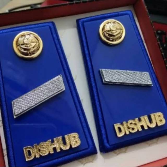 Pangkat dishub honorer