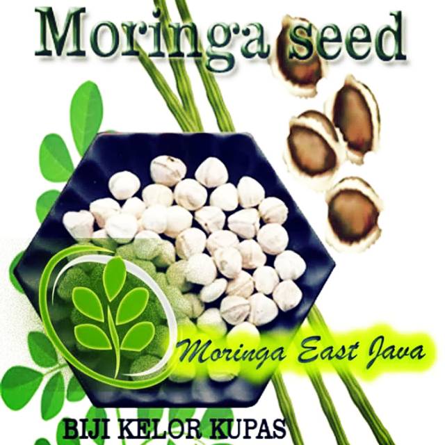 

biji kelor kupas moringa seed 250gram