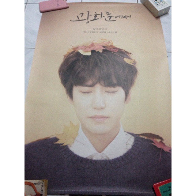 Official Kyuhyun "At Gwanghwamun" Poster