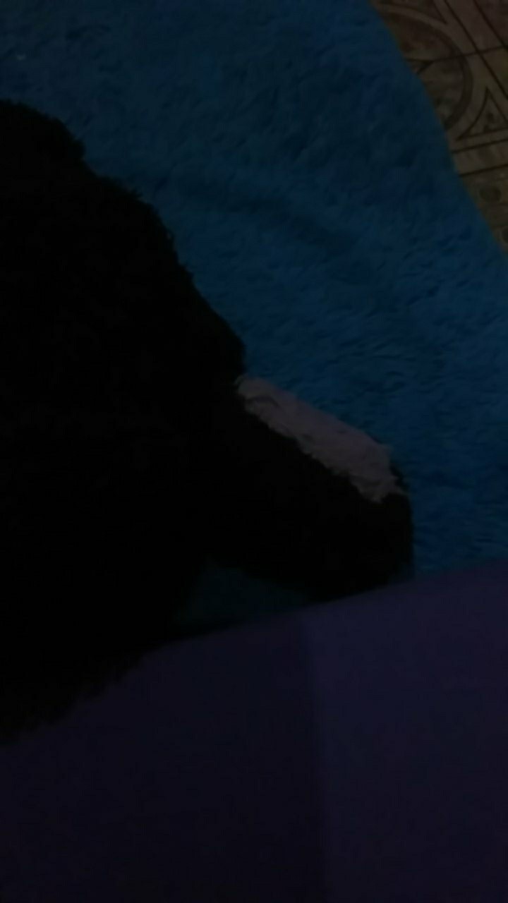 Alat Dapur Pisau Buah Mini Set