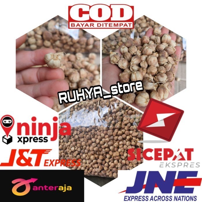 

Kapulaga Kering-Kapol Hibrida-Kapol Kering lokal 100gr