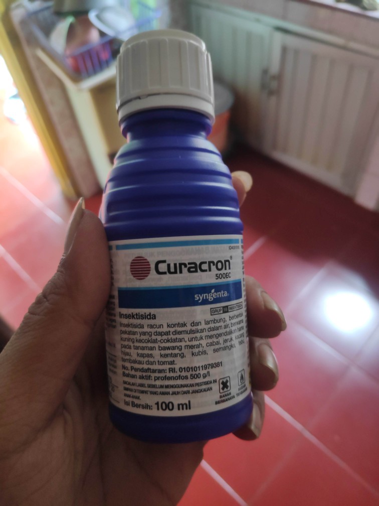 Insektisida Curacron Pembasmi Hama Kutu Putih