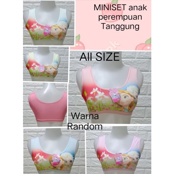 Miniset (340/B237) Anak perempuan Tanggung All SIZE Warna Random pakaian dalam Cewek