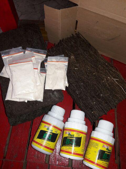 Root Up Perangsang Akar 10g