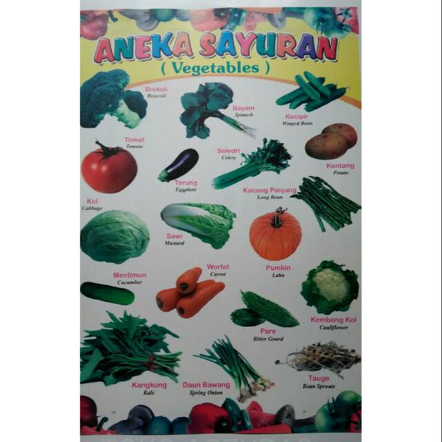 Poster Buah Buahan Poster Sayur Sayuran Shopee Indonesia