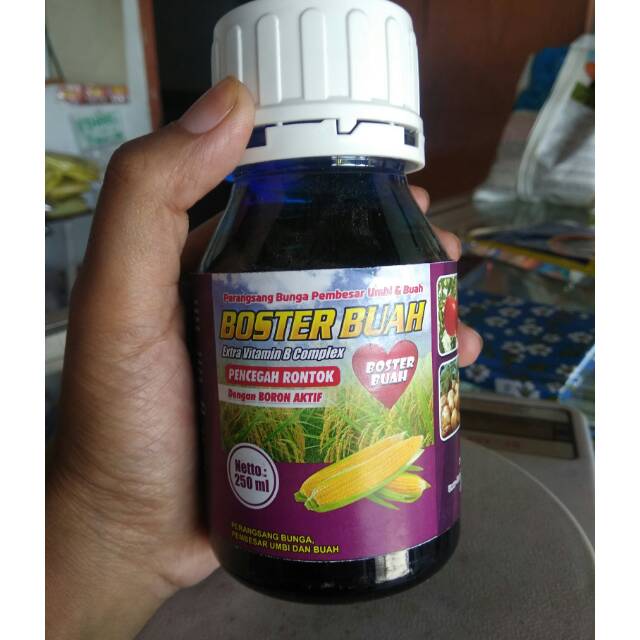 BOSTER BUAH 250ML /BOSTER PERANGSANG BUAH /BOSTER BUAH