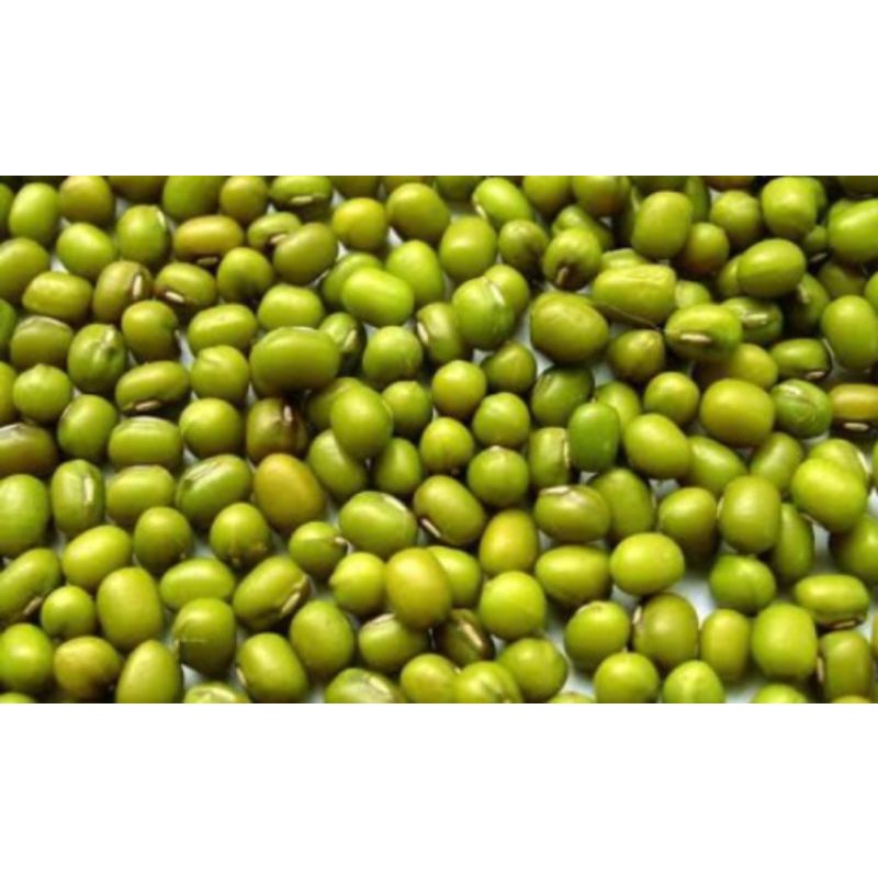 

KACANG HIJAU ORGANIK