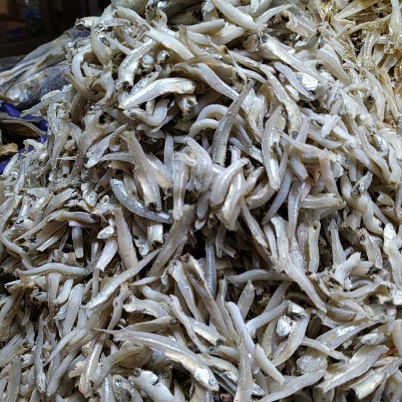 

Buntiau /teri kacang