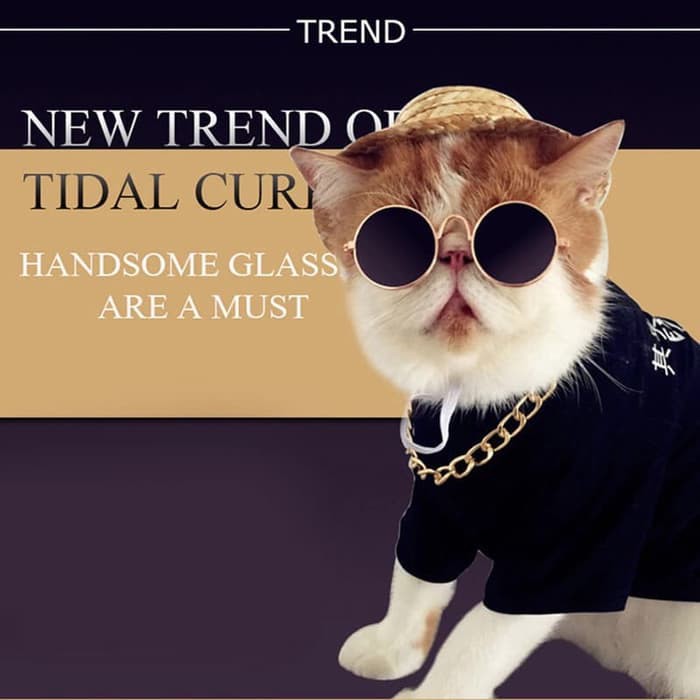 TERMURAH Kacamata Kucing Anjing Eyeglasses Sunglasses Hewan Kecil Pet Dog Fashion Hewanpp