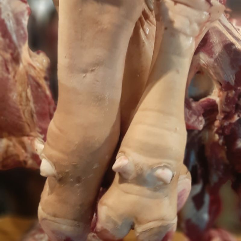 

Kaki sapi/Tunjang satuan