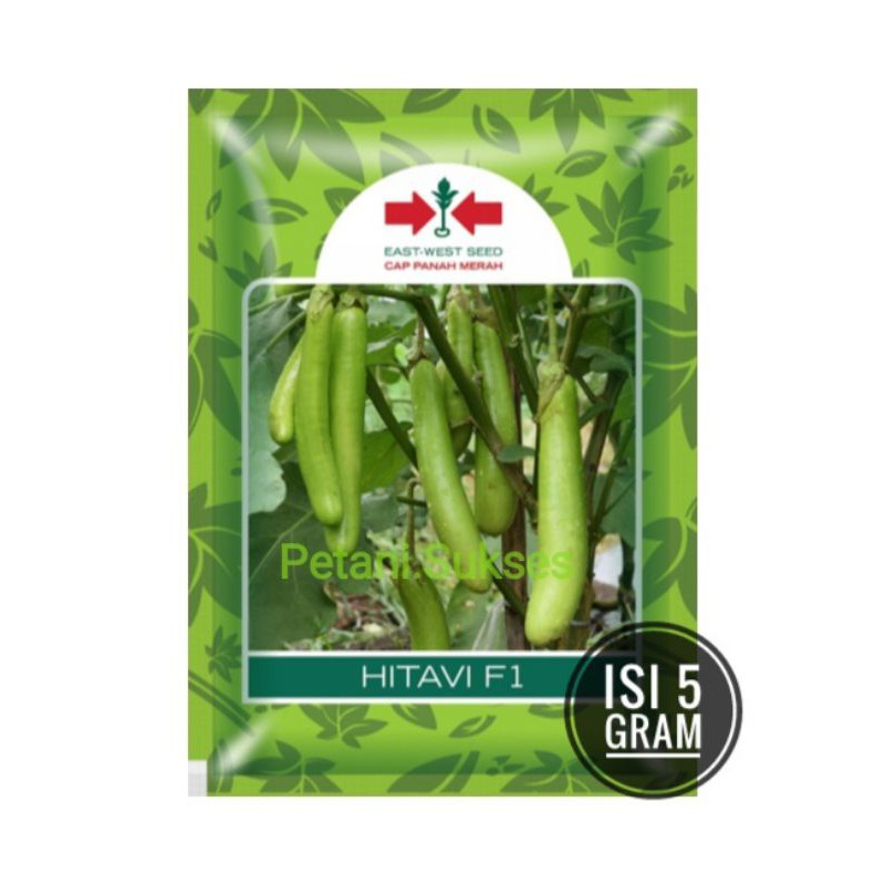 (5gr) bibit benih sayuran TERONG HIJAU HITAVI F1 5 gram hibrida hidroponik Cap Panah Merah