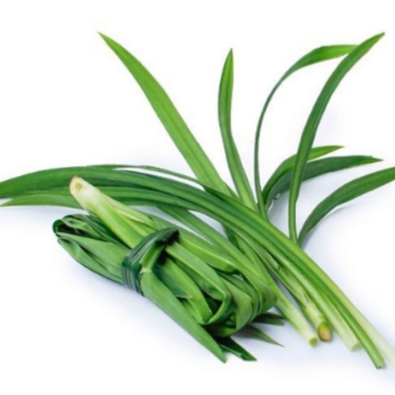 

Daun Pandan Segar