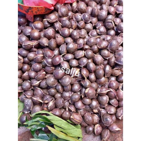 

Salju ~ Jengkol tua ( kulit ) isi 1 kg bersih