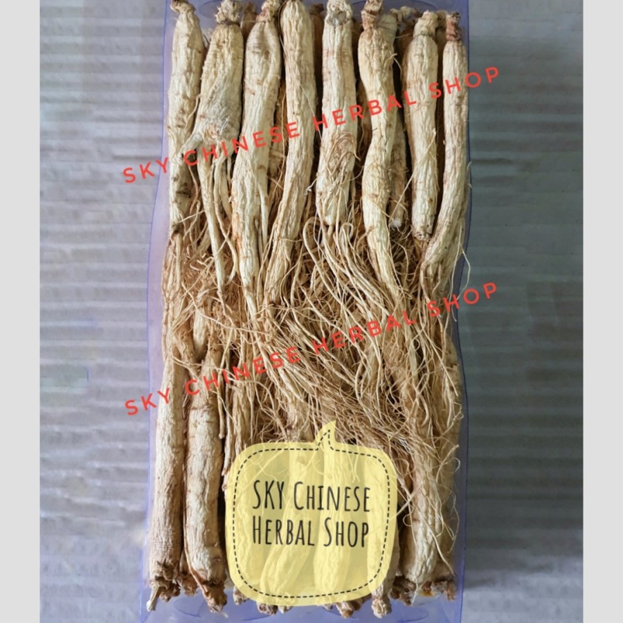 

(500 GRAM) Akar Ginseng China (Utuh) Premium/ Jen Sen Ren Shen Stamina