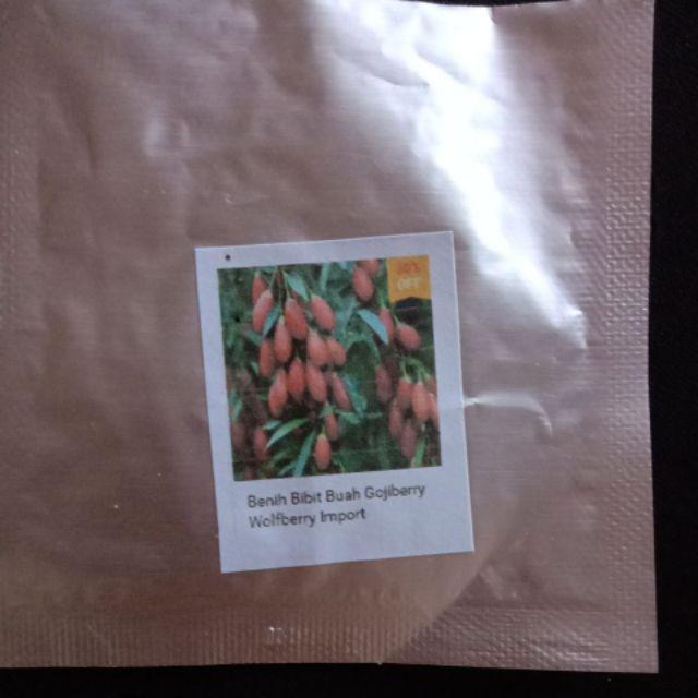 Benih Bibit Buah Gojiberry Wolfberry Import