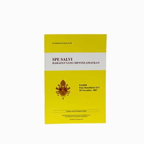 DG-88 Spe Salvi, Harapan Yang Menyelamatkan