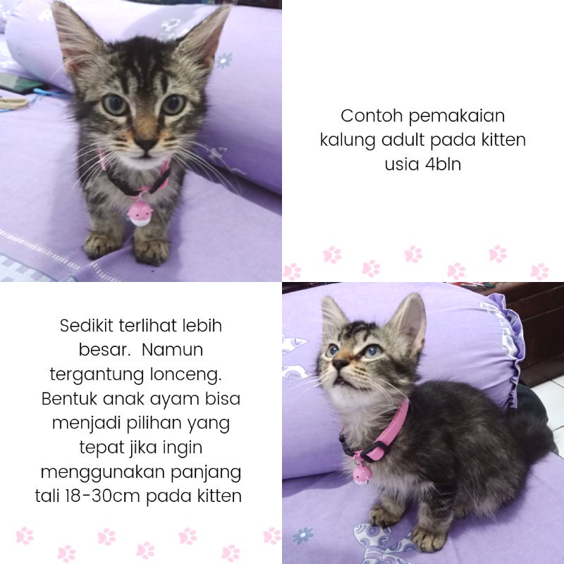 Kalung Kucing Lonceng Karakter (Kucing Dewasa)